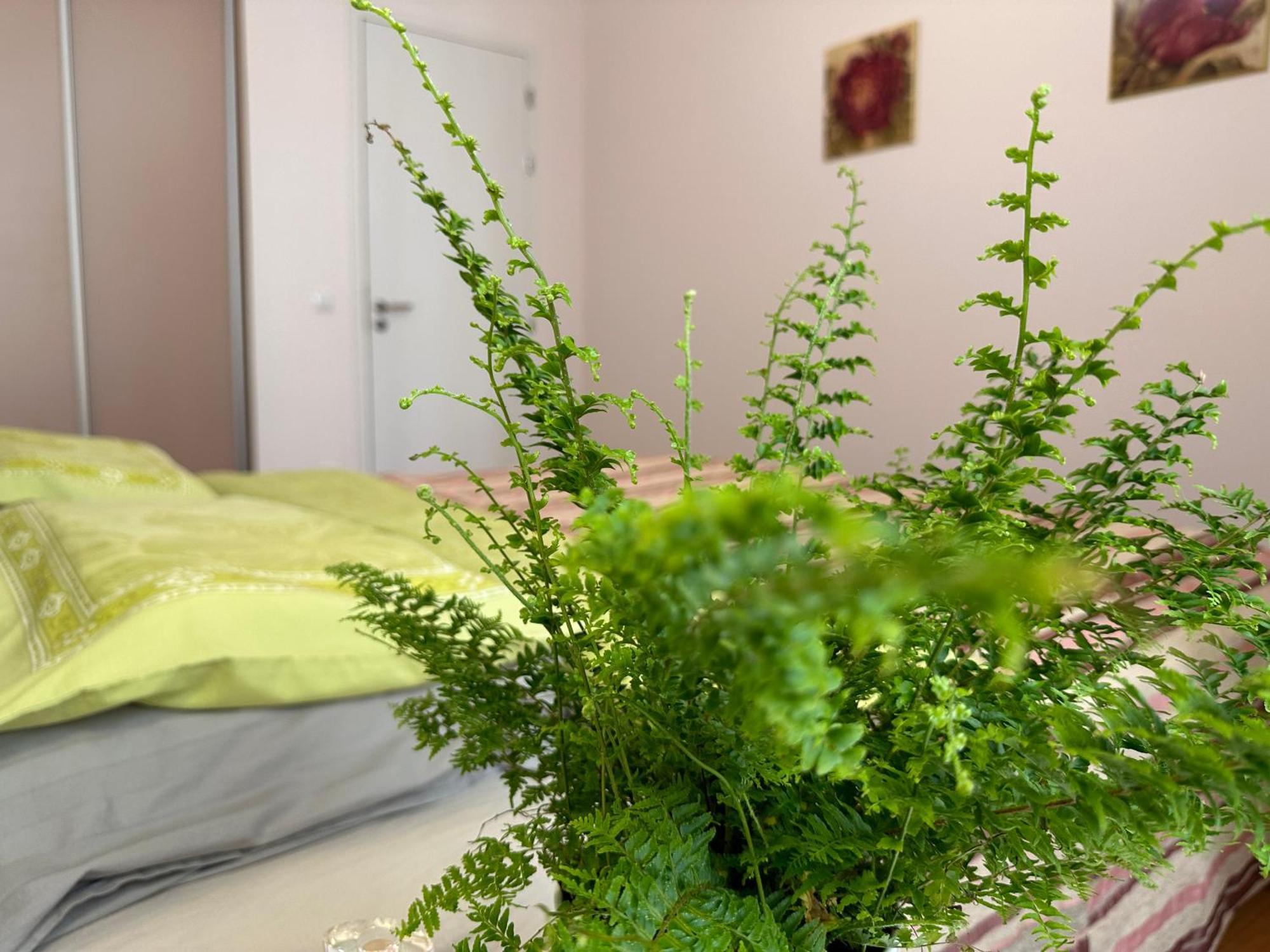 Marienbad Center Apartment Ngoại thất bức ảnh