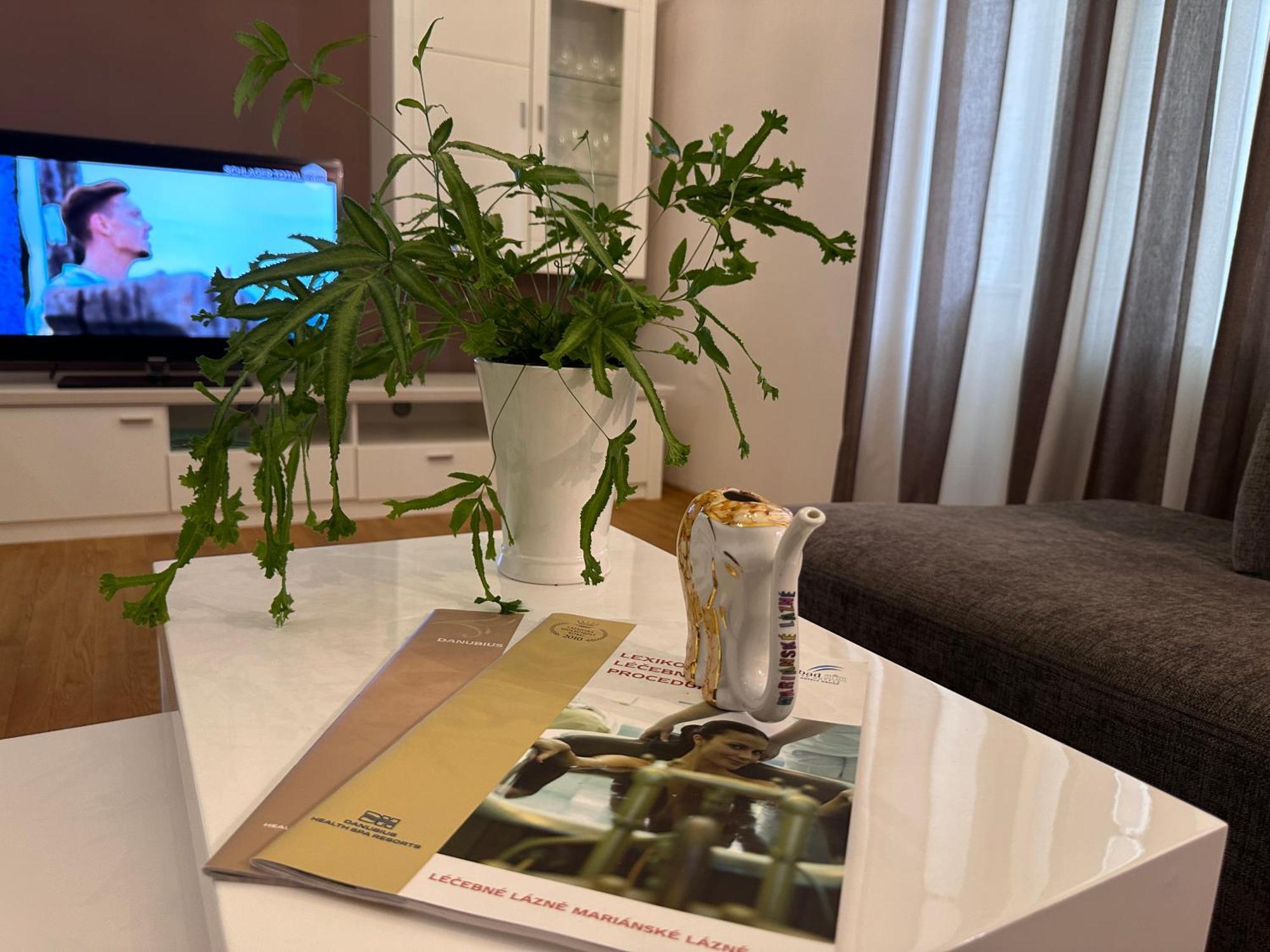 Marienbad Center Apartment Ngoại thất bức ảnh
